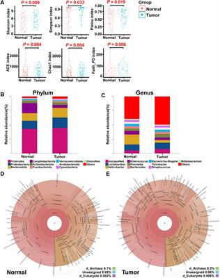 Mucosal microbiota characterization in gastric cancer identifies immune-activated–related transcripts relevant gastric microbiome signatures